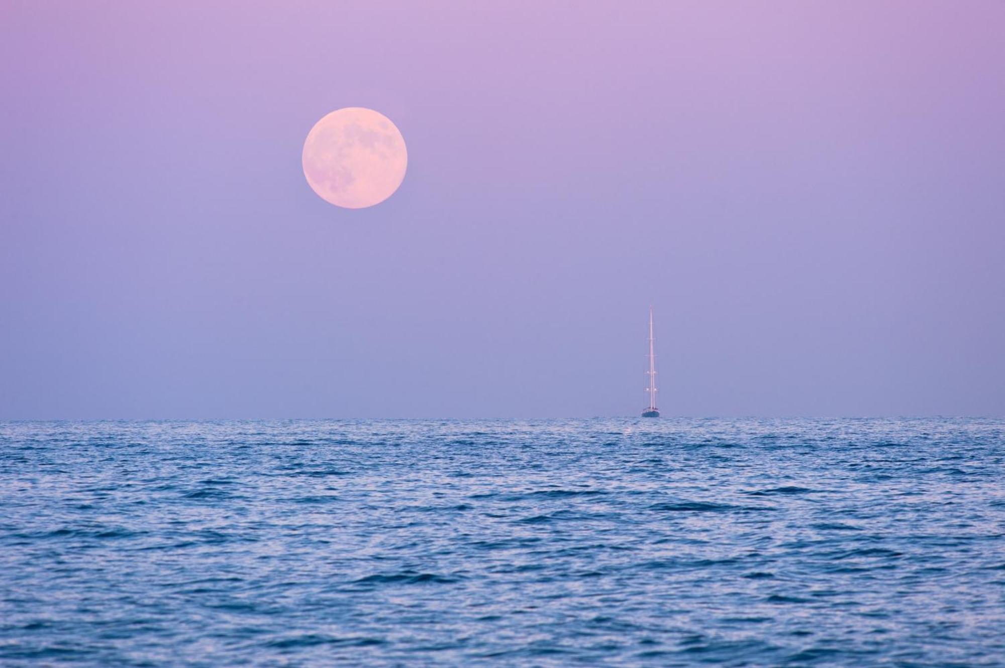Front De Mer Golfe De Saint-Tropez 圣马克西姆 外观 照片